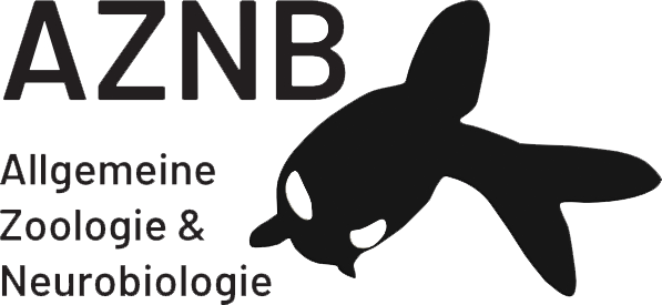 Logo LA für Allgemeine Zoologie und Neurobiologie