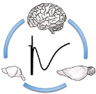 Logo Neurophys