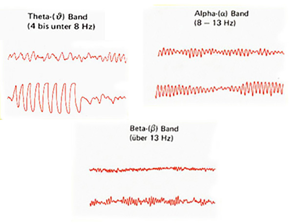 Bandbreite EEG in Hertz